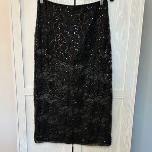 Wild‎ Fable Women's Sheer Black Lace Sequin Maxi Skirt Whimsygoth Size Medium